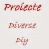 Proiecte Diversediy