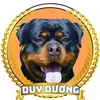 Dương Rottweiler