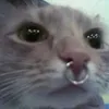 maxximho