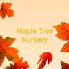 mapletreenursery8