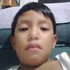 altheaf0