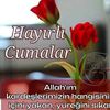 mehmetm938