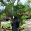 putry_liyya