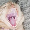 bananagunz21