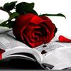user2086361813100
