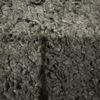 carpetmannn