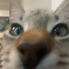 butter_.toast