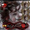 user507914607