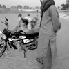 sharifzada602