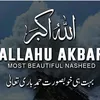rajaasifkayani786878
