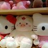 pig_citrusypork