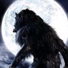 werewolfnotvamp
