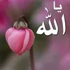 user024081766
