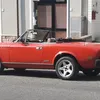 rosatortorici0