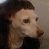 memoriasdosubsolos