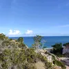 portoseguroteiros