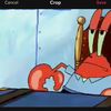 dilly_the_mf_bean