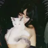 .swiftabrams