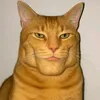 sousaermf