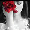 user227800812