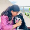 swkriti__