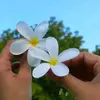 usesnames5