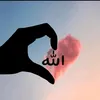 user8219728583143