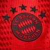 fc.bayern_munich_vn