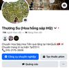 Shop hoa tiền tại Hàn Quốc🇰🇷
