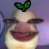 jericult