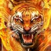 regar1710
