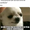 regiocask