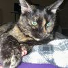 living_with_lymphedema