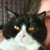 artemsomething