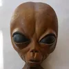 lilmayo59