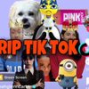 teswop07