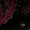 𝕊