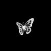 butterfly_prinky