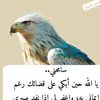 user738076687