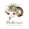 osbornsucculents