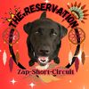 zap_short_circuit