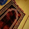 shifaakram2