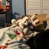 penguinsass48