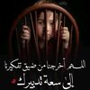 user779805501