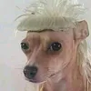 claudioacosta70