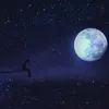 user857198631