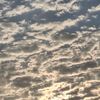 waad_124