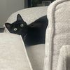 pennytoulouse