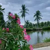 thahnam52