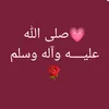 zian561